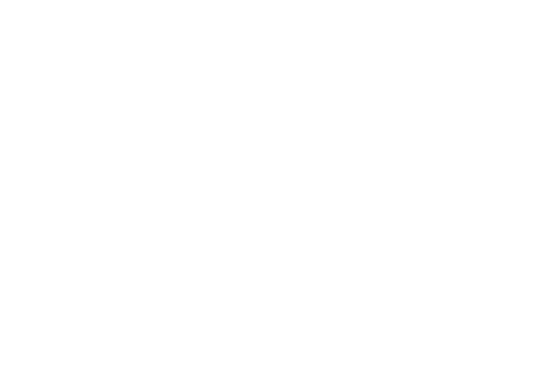 BSF logo blanc